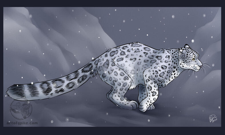 Soft and Silent (digital, 2010)