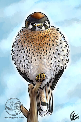 Fluffstrel (digital, 2015)