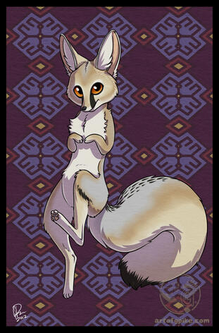 Cute Cana (Vulpes cana) (digital, 2012)
